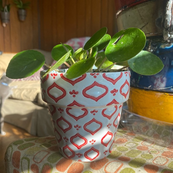 Meet your Posher, Zeph - Picture 1 of 2